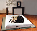 2 Tatamis Polystyrene + 1 Futon